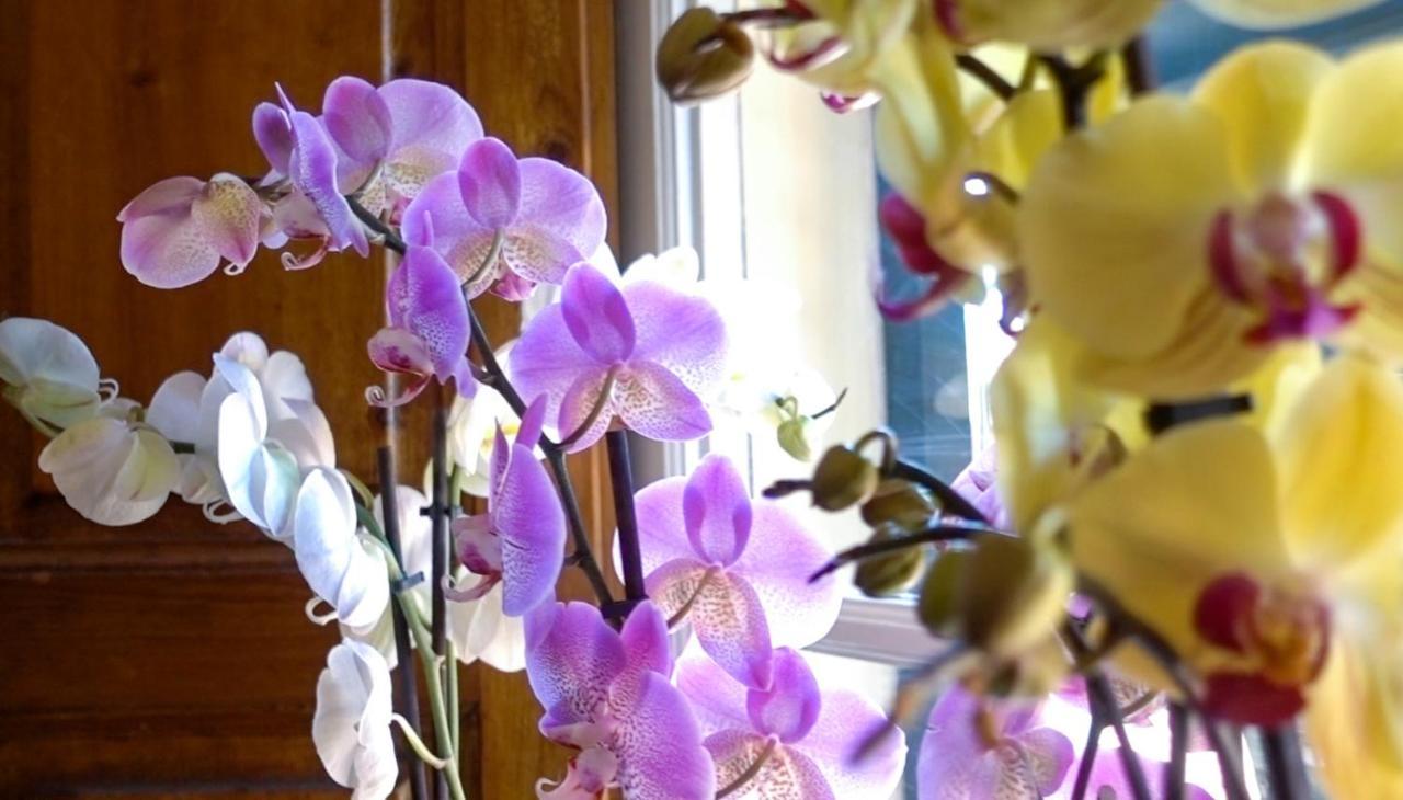 Villa San Donato B&B Лукка Экстерьер фото